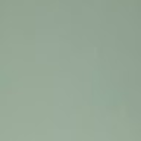 Meet your Posher, Kendall - Picture 1 of 1